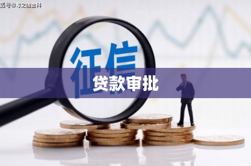 聂荣贷款审批
