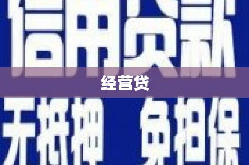 聂荣经营贷