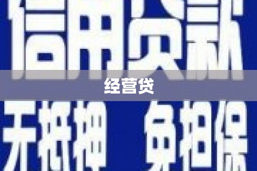 聂荣经营贷