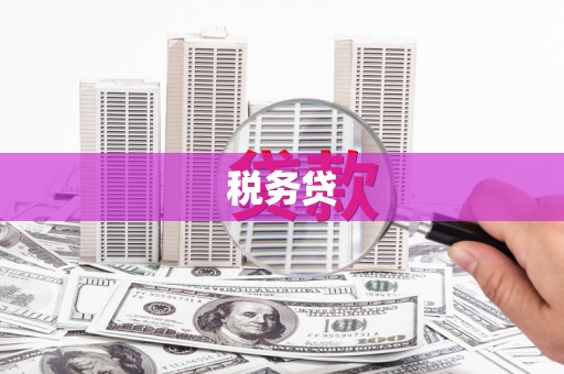 聂荣税务贷